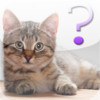 Cat Breed Quiz for iPad