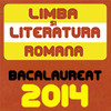 Comentarii Romana Bac 2014