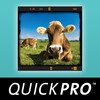 Composition Essentials from QuickPro