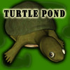 Turtle Pond