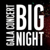 Big Night Concert