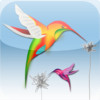 Colibri - create animated virtual and augmented reality worlds and share them with the real world!