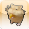 Raising Hamster