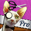 Cut Me In Pro - Easy to use Photo Chop Background Adjuster