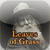 Leaves of Grass - Walt Whitman