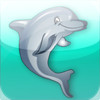 Dolphin Play