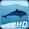 Dolphin Cove HD