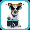 My Dog Camera: Snap, Organize & Share your favorite Dog photos!