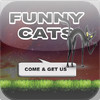 The FunnyCats