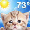 Weather Kitty