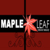 Maple Leaf Nature Beauty