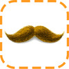 Mustache Camera