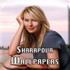 Sharapova Wallpapers