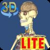 3D Anatomy Lite