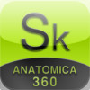 Skeleton-Anatomica 360: Explore the human body in 3D