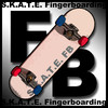 SKATE Fingerboard