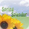 Spring Splendor