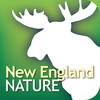 Audubon Nature New England - The Ultimate New England Nature Guide