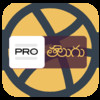 Panchangam Telugu 2014 Pro