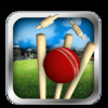 Cricket Run Out Pro : The Final Shoot