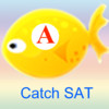 Catch SAT Words