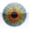 Magisches Auge HD