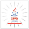 Java Enterprise Edition 6 API Specification