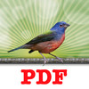 Instant PDF Printer - Print to PDF instantly with built in PDF converter.