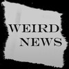 Weird News