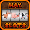 Hay Slots