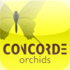 Concorde Orchids