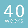 40 weeks - pregnancy countdown