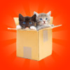 Cats & Kittens Memory for kids and toddlers