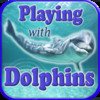 Playing With Dolphins HD