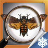 Hidden Objects Quartet