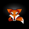 FoxKnow Reader