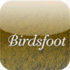 iCPS for Birdsfoot