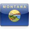 Montana DOT Traveller