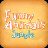 Funny Animals Jungle