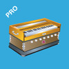 Musical Instruments Preschool Toddlers Pro