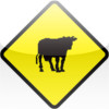 Cow Crossing