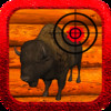 American Bison Hunting 2014