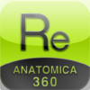 Respiratory-Anatomica 360: Explore the human body in 3D