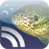 FishID - Know every fish, fish every spot and spot the best catch