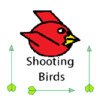 Shooting Birds