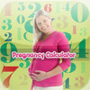 Pregnancy Calculator