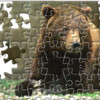 Brown Bear Jigsaw Puzzle