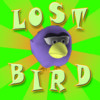 Lost Bird