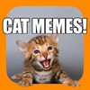 Cat Meme App