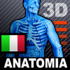 Human Body 3D Anatomy ITALY